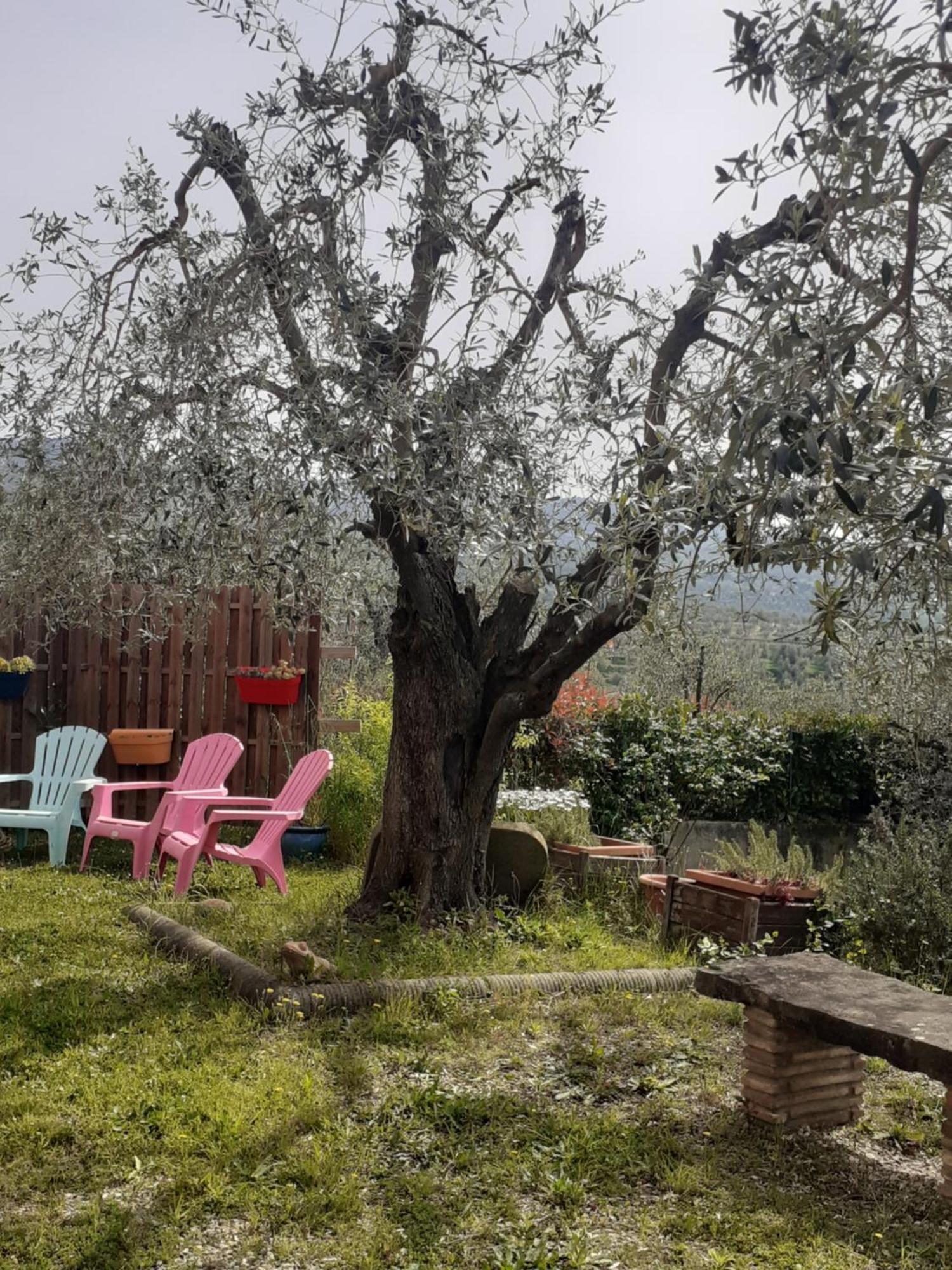 Agriturismo Podere Zollaio Vinci Eksteriør billede